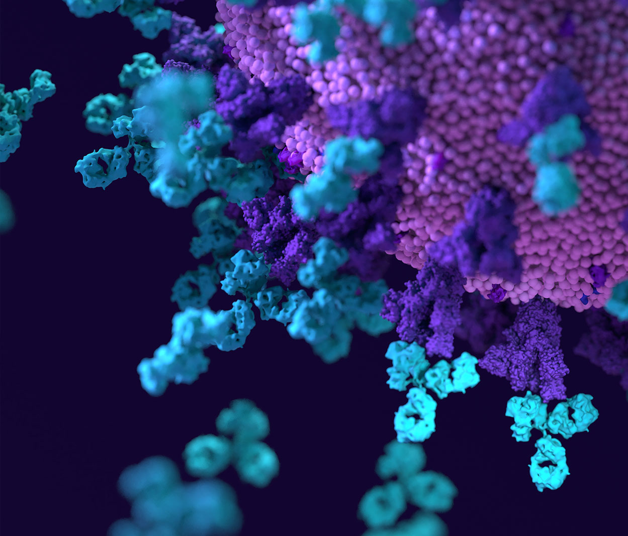 3D-rendered microscopic visualization of colorful clustered immune or cancer cells in purple, teal, and blue, symbolizing breakthroughs in immunotherapy and translational cancer research