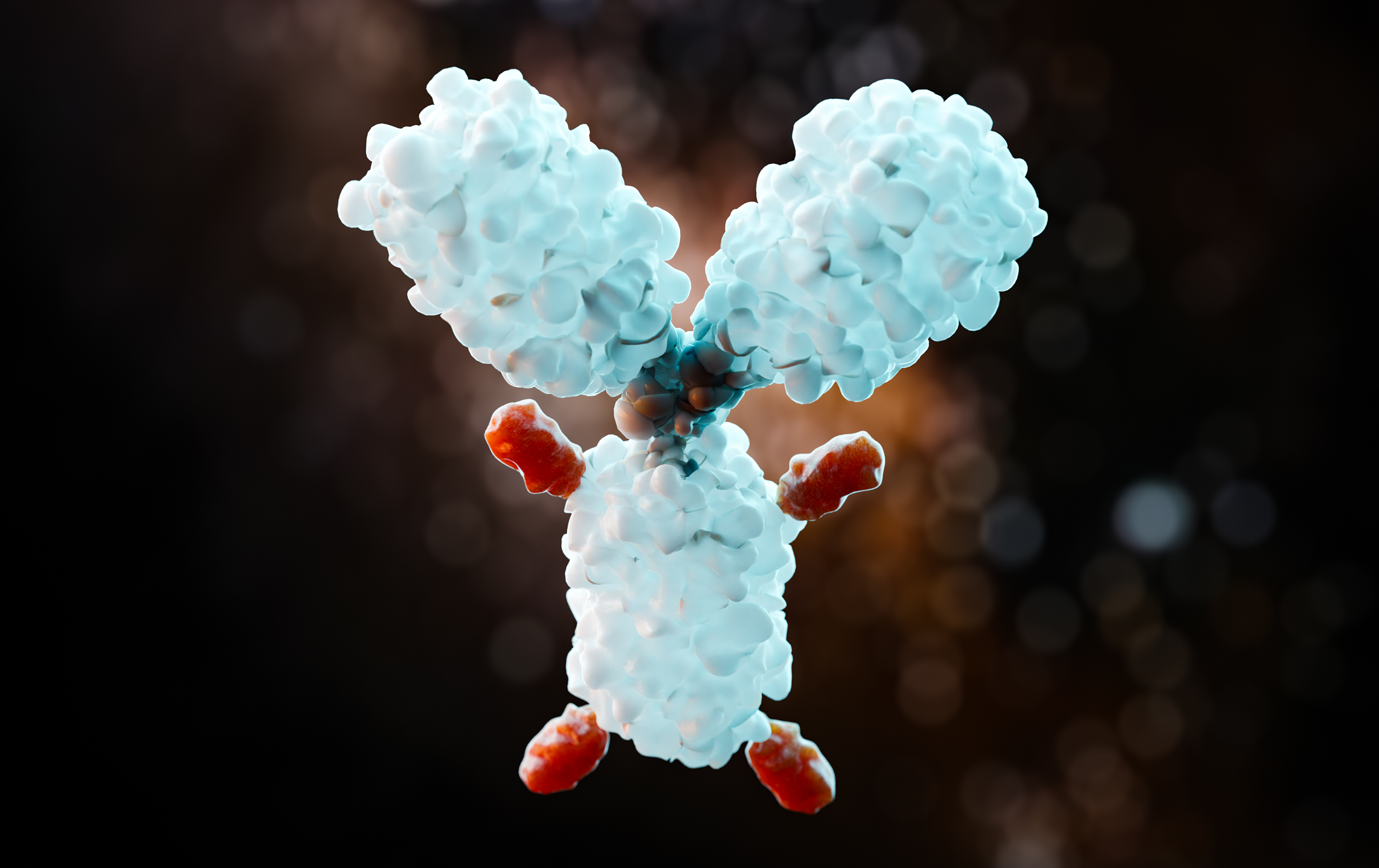 3D illustration of a targeted antibody drug conjugate
