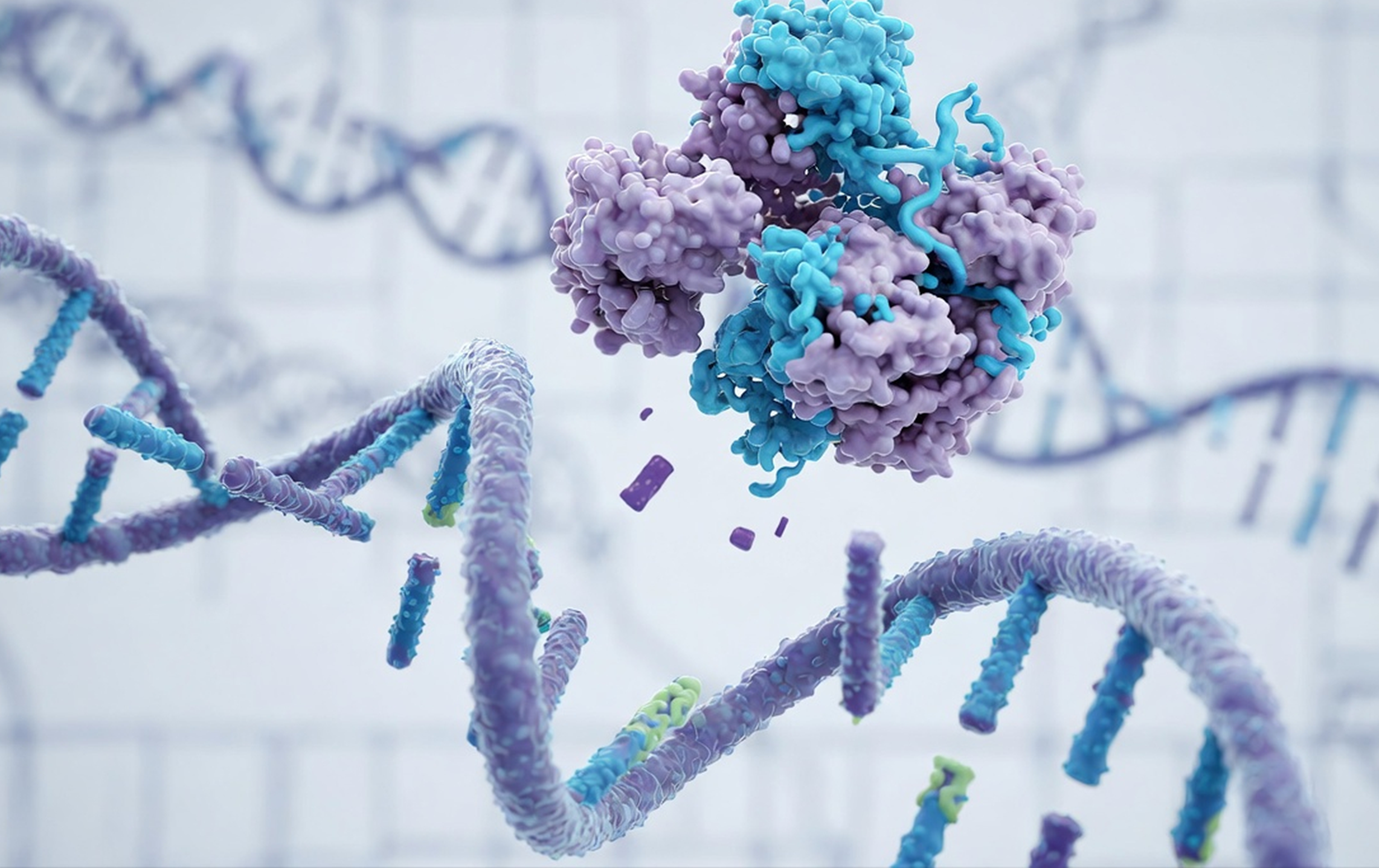 3D illustration of PARP-1 Inhibitor