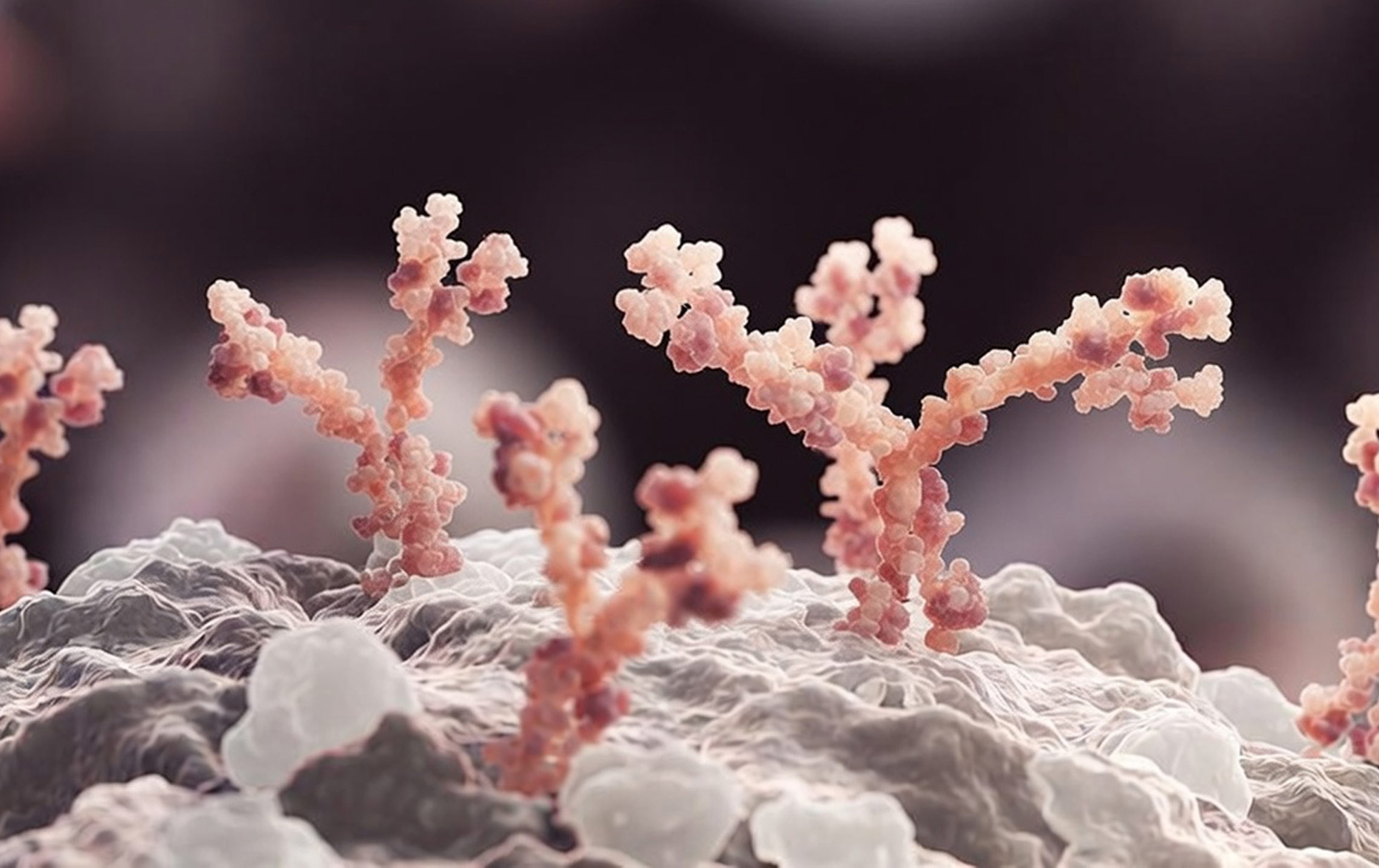 3D rendering of Antibody-Drug Conjugates (ADCs) in a biological environment