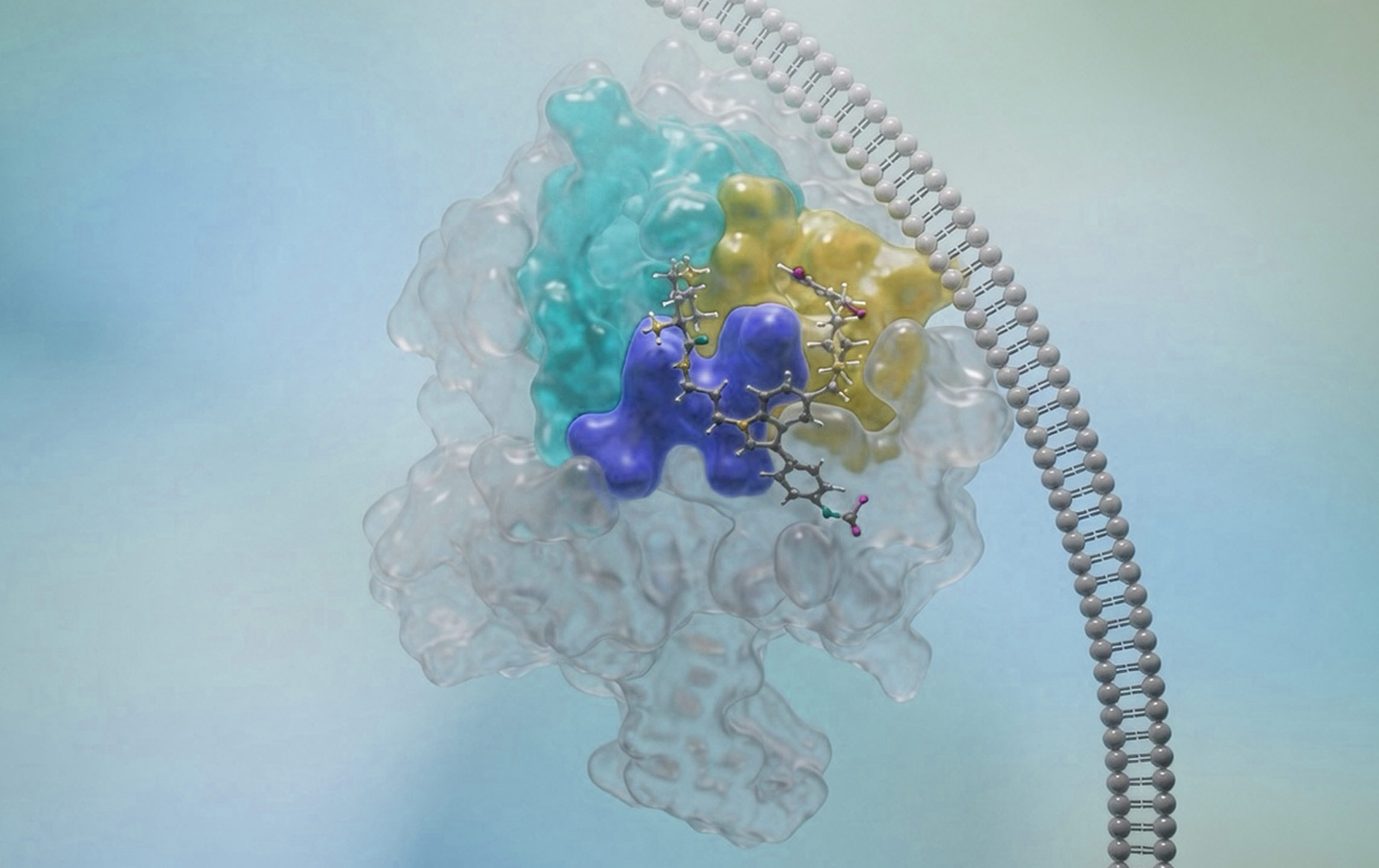 3D representation of a pan ras inhibitor in a biological environment